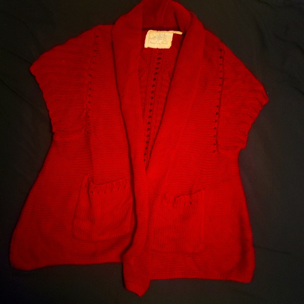 Angel of the North Vest